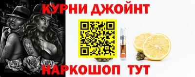 СК Кингисепп