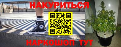 СК Кингисепп