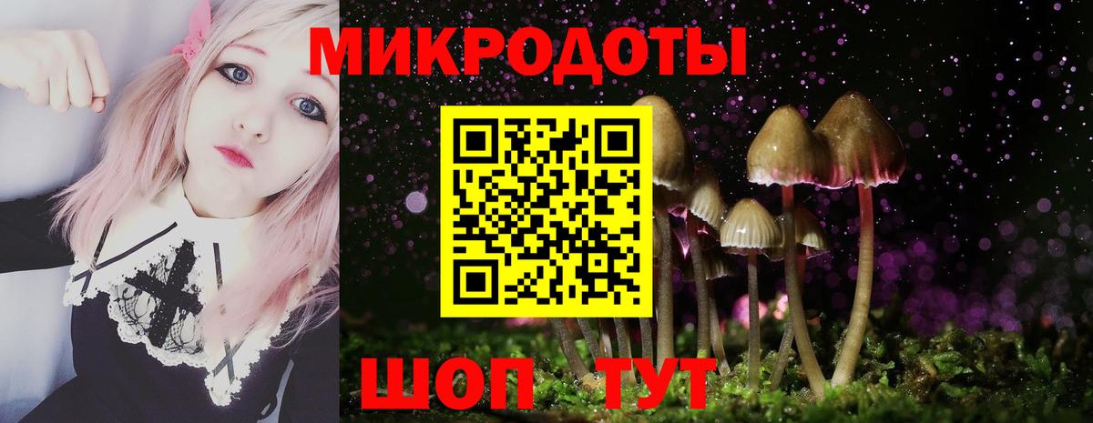 Галлюциногенные грибы GOLDEN TEACHER  Вход с VPN  Котлас 